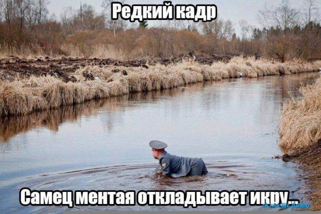 Немного картинок в этот понедельник