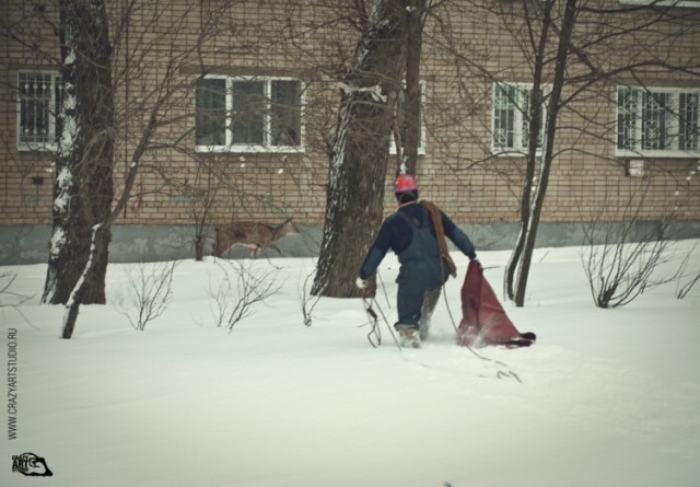 Приключения "Бемби" в Ярославле