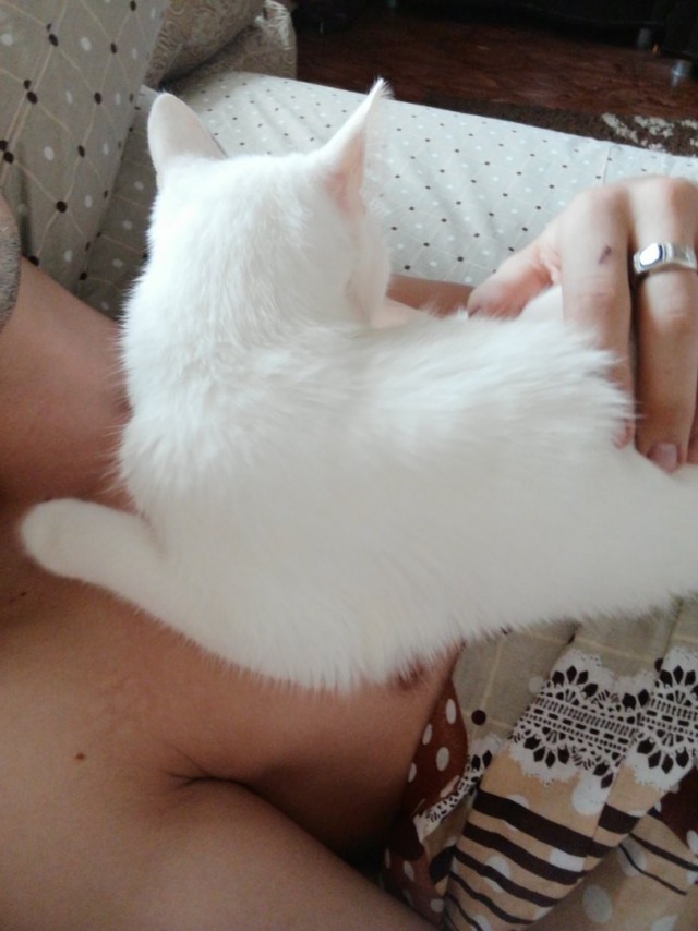 Немного милоты