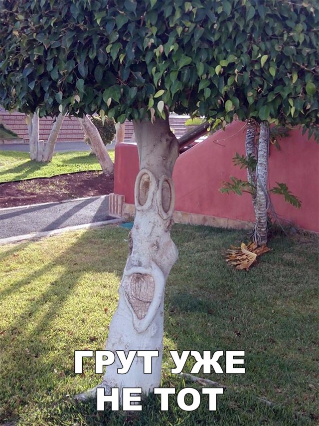 Нестандартный юмор