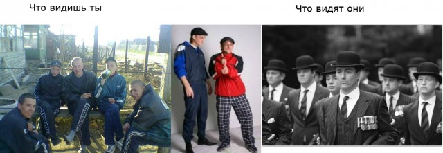 Человеческая реальность VS Животная реальность