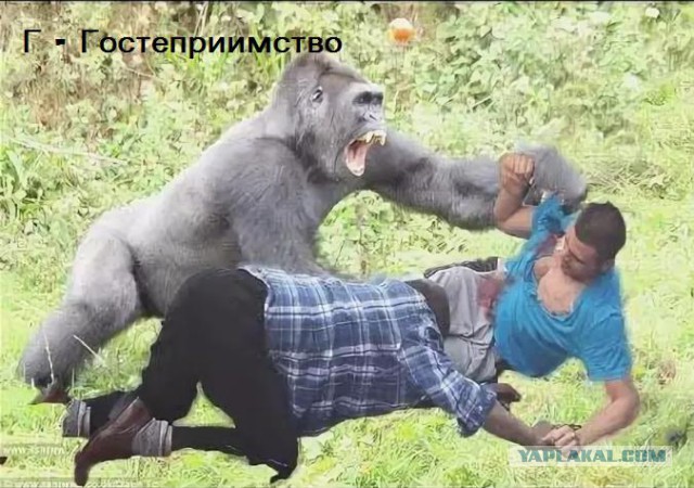 В Абхазии местный житель не понял туриста в шотланской юбке (килте)