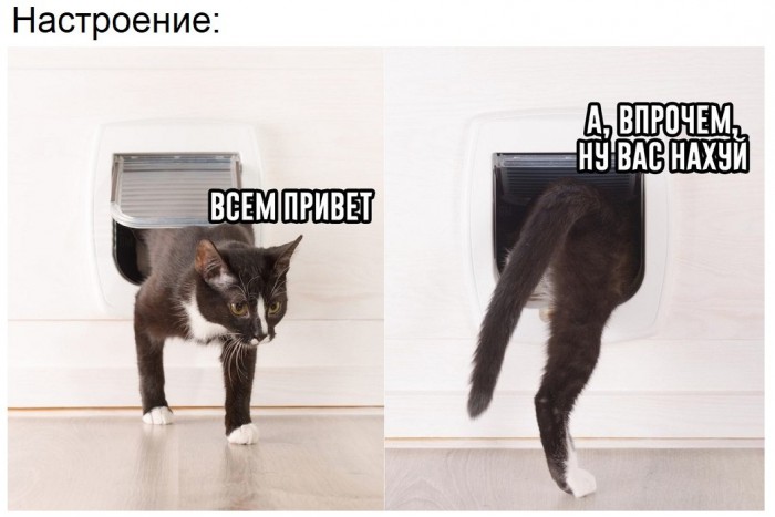 Мы всё исправим