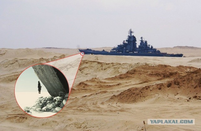 Прикольные фотографии