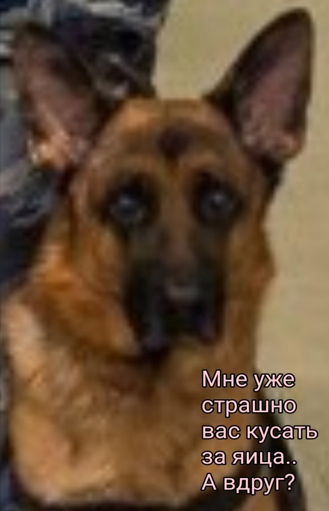 Запятую тут поставьте сами
