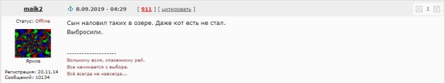 Котлеты из ротана