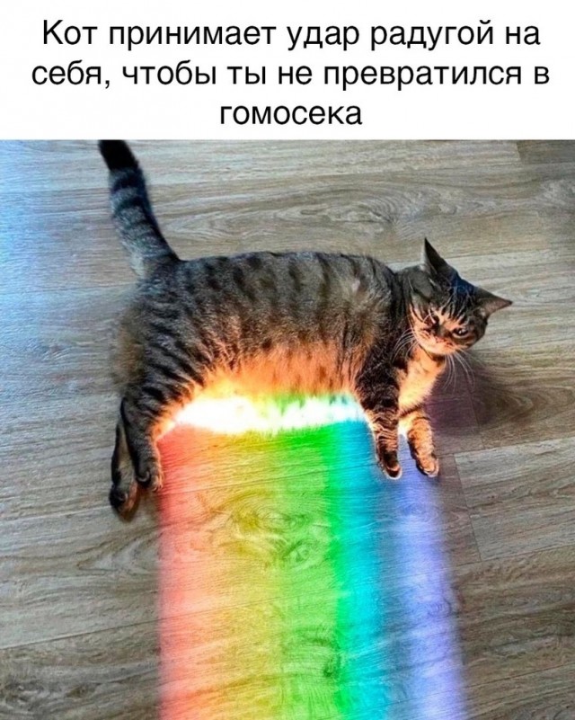 Картинки разные нужны, картинки всякие важны