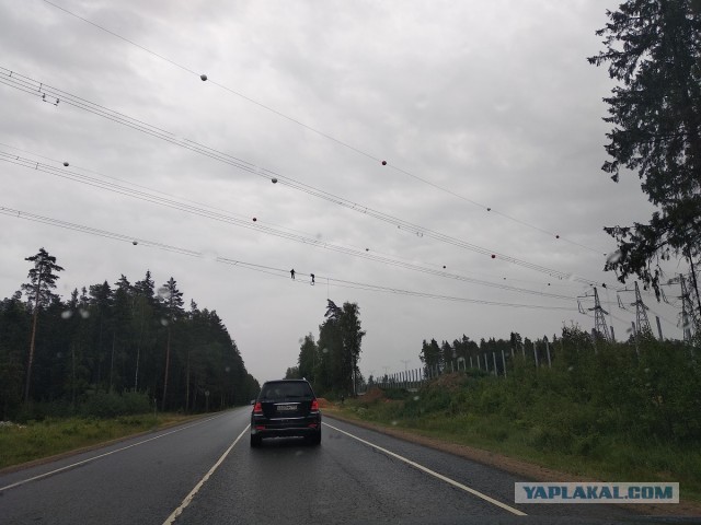 Альпинист из Владивостока очищает от наледи мост на остров Русский