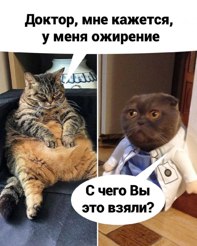 Кретинизмы из KV и KO 27.01.21