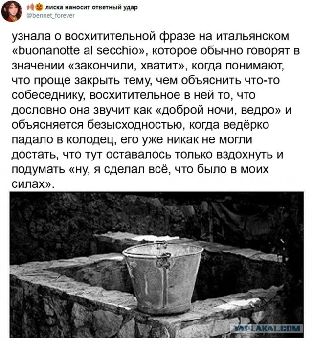 Свинегрет: картинки, надписи и прочее на 20.02.21 или №30