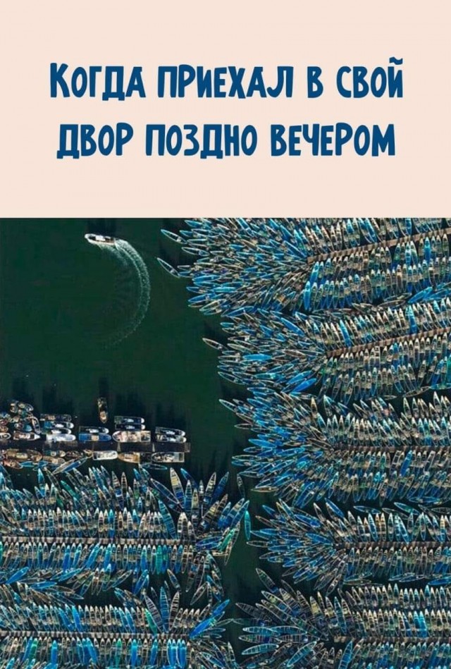 Кучка всяких картинок 08.06.2021
