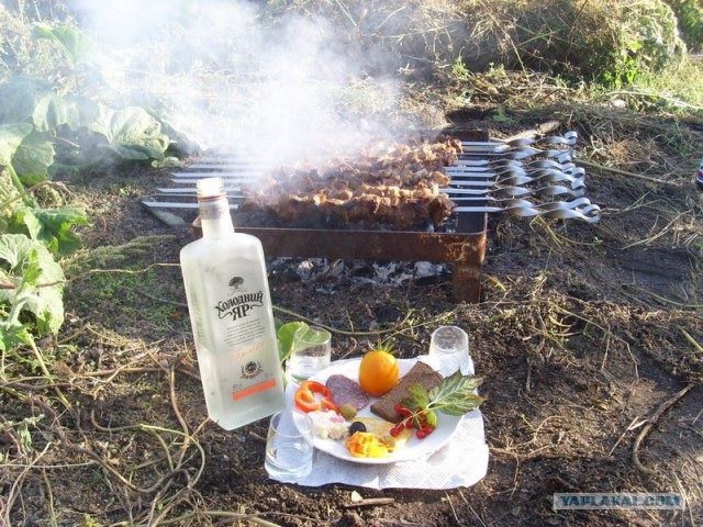 Шашлык, рецепты маринада, все про шашлык!