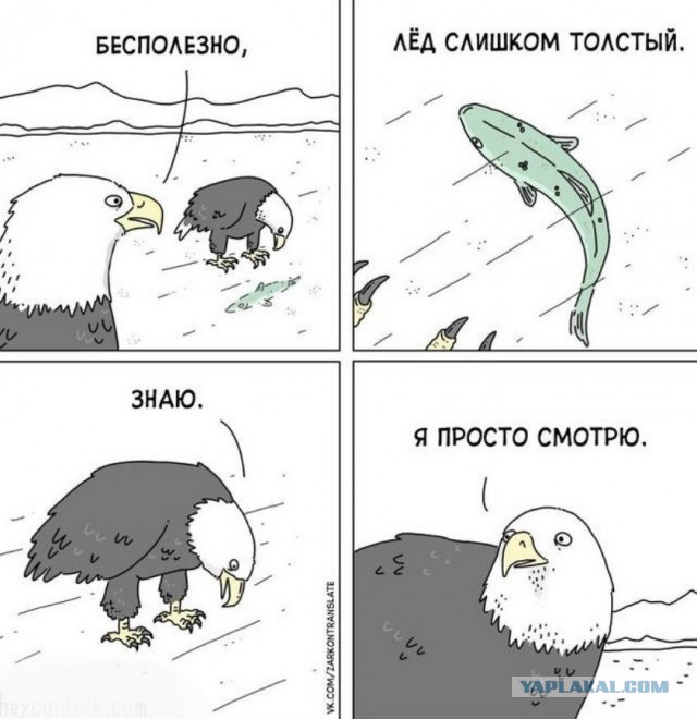 Весёлый полтишок 8.08