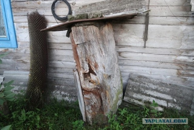 Заброшенные деревни. Уникальная деревня посреди болот