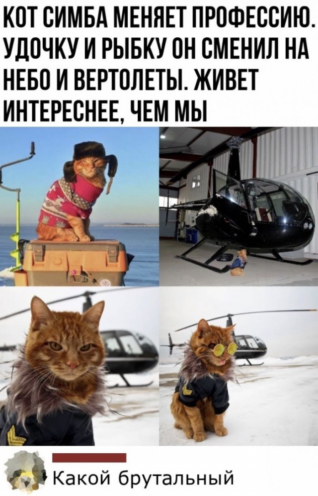 Картинки и мемы для настроения 13.10.2021