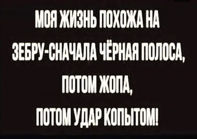 Весёлый полтишок 25.10