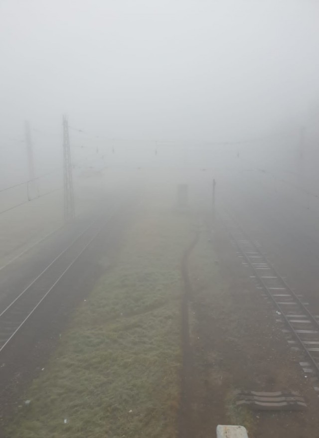 Туман в Москве