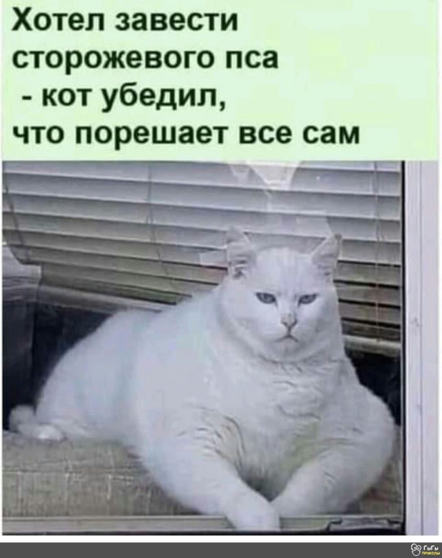 Алкопост 5.11.21