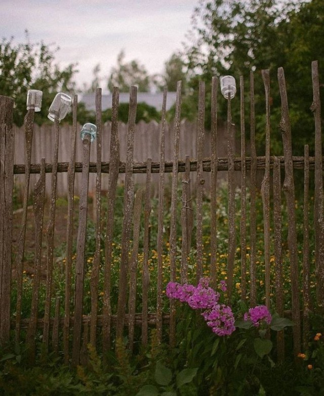 Сам себя считаю