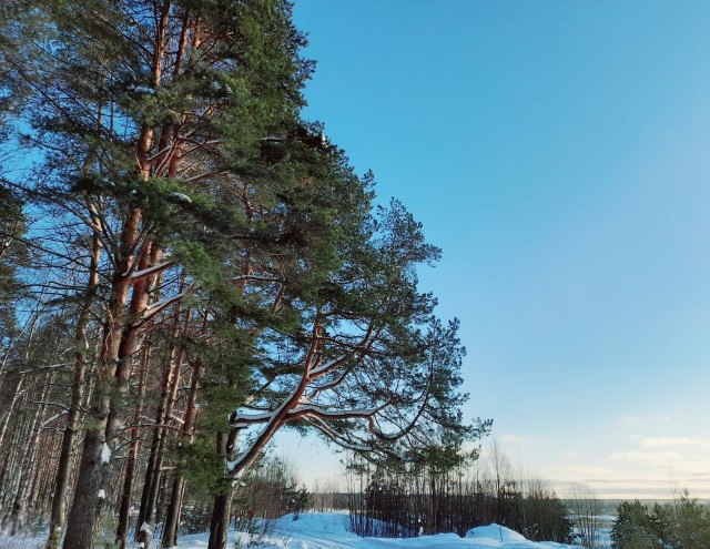 Мое небольшое увлечение. Мобильная фотография