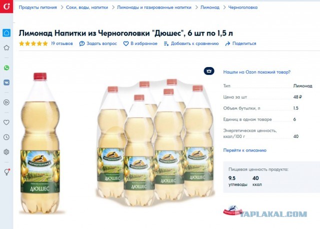 «Напитки из Черноголовки» собираются выпускать «русскую кока-колу» под брендом RuCoLa
