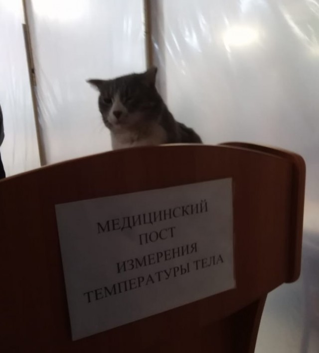 Топить поздно...