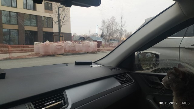 Вторник, сэр кот
