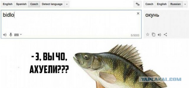 Я работаю на заводе. А жена хочет иметь «красивую жизнь»