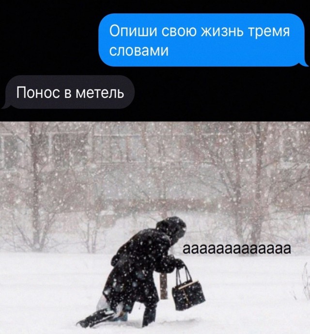 Так себе картинки 22.11.22