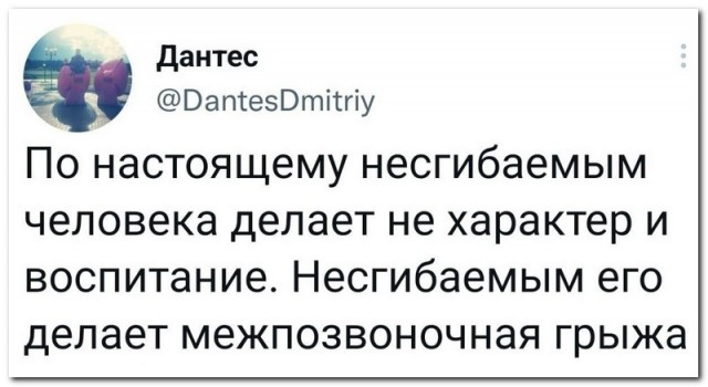 Забавные комментарии из социальных сетей 26.12.22