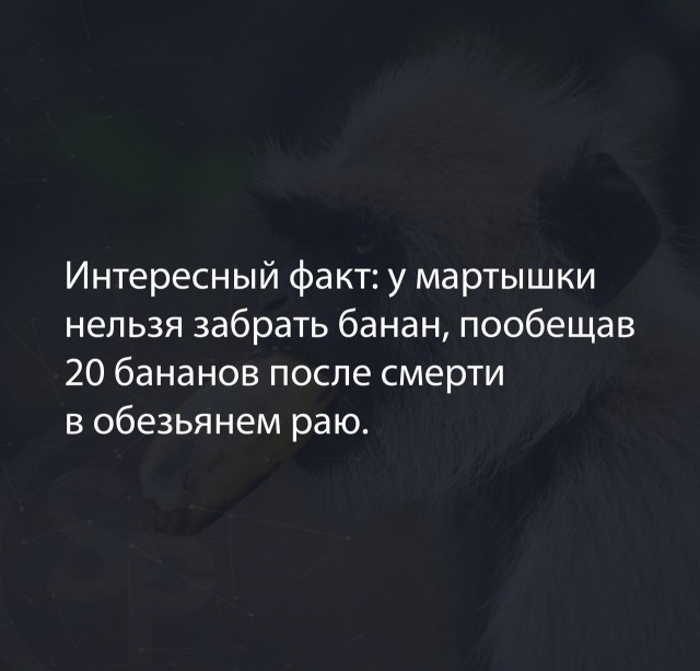 Занимательная теология-2