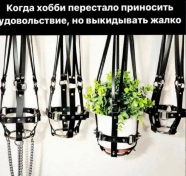 Женился на девственнице и пожалел!