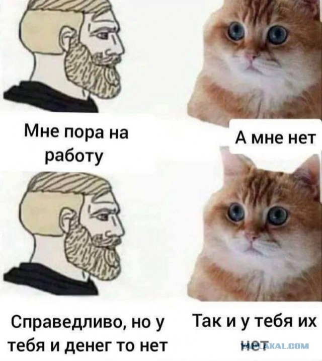 Немного мемчиков. Для взрослых. Часть 32