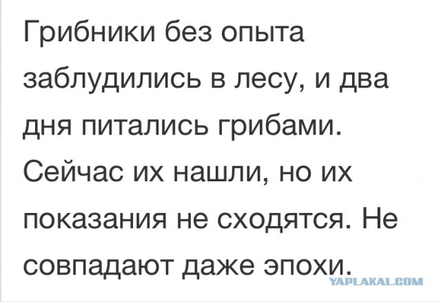 А вы теряли ЭТО в лесу?