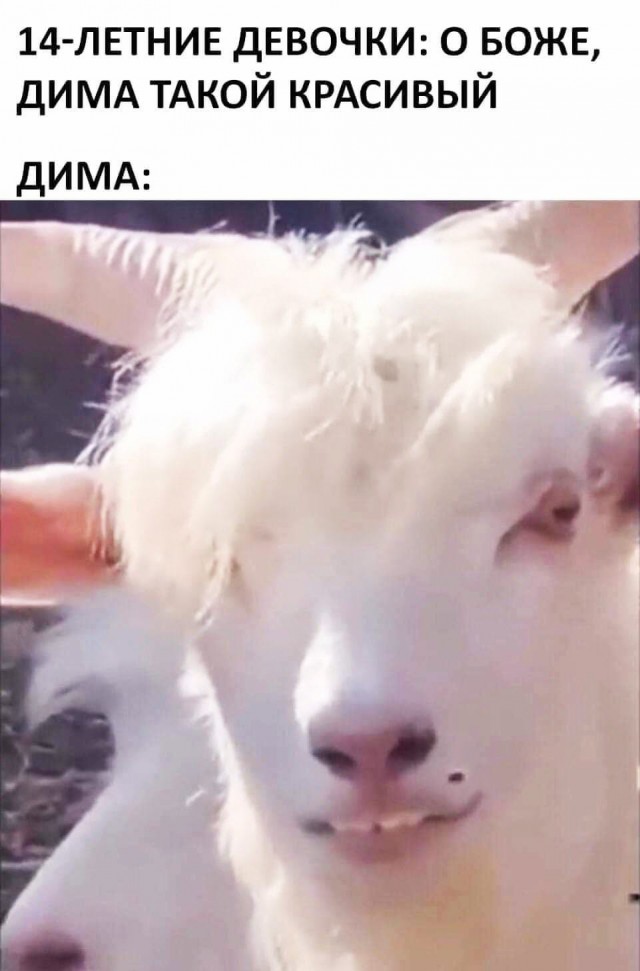Немного немного