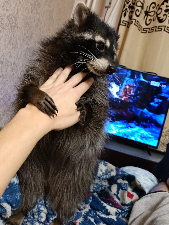 А вы это жрёте