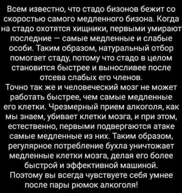 Так себе картинки 20.07.24
