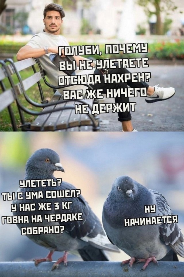 Картинки разные с надписями и без