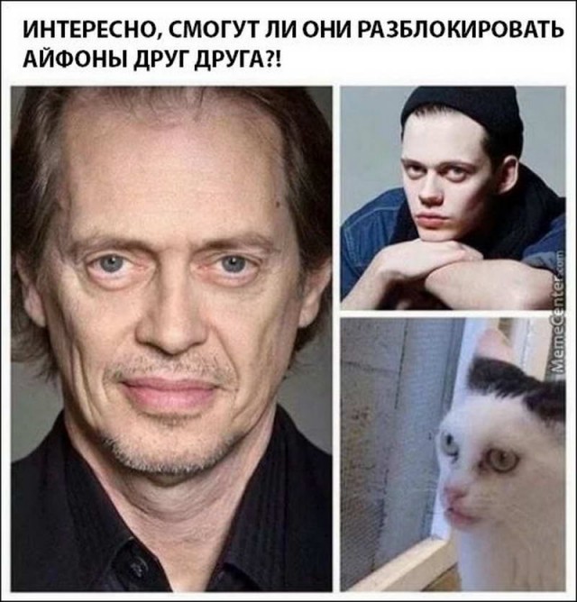 Прикольные и просто красивые картинки 04.10.2024