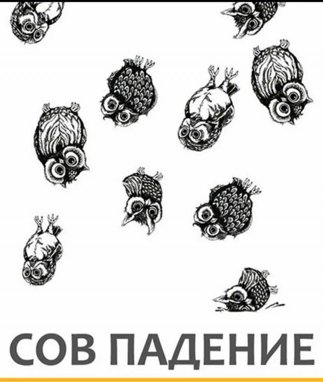 Скрин