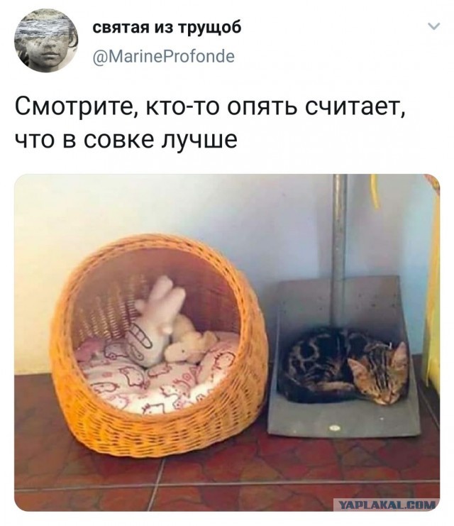 Картинки всякие, новые и старые