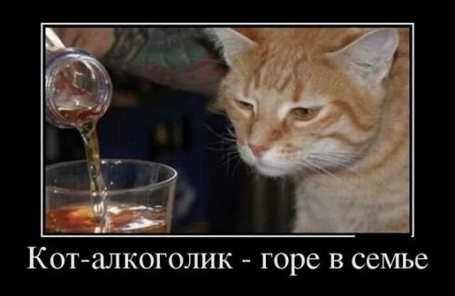 Мужики кАзлы