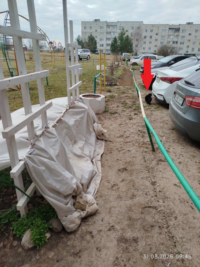 Клумба во дворе 2025 зима