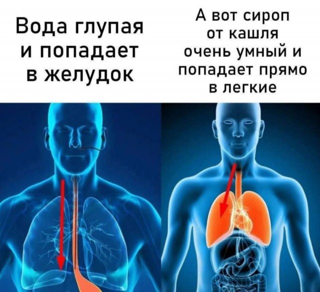 Так себе картинки 29.04.25
