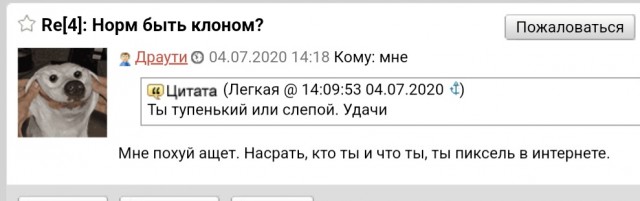 Женщины в юбках
