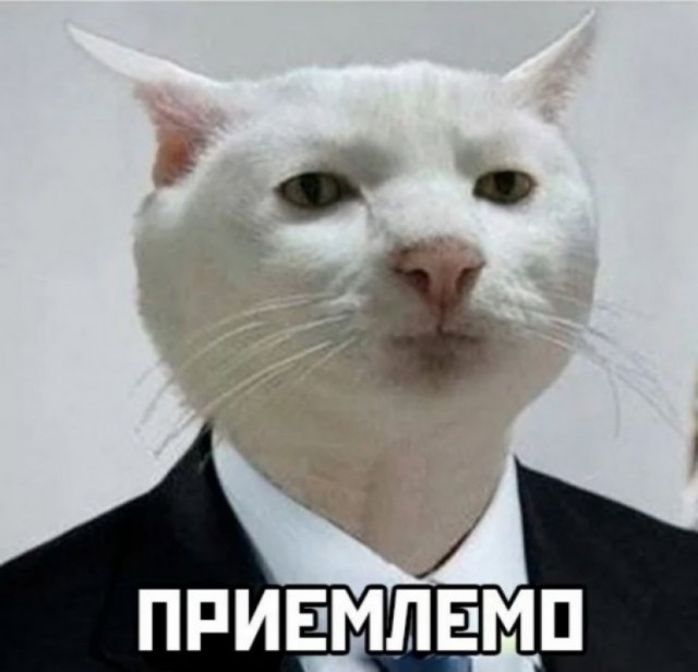 Экс-нападающий сборной России Федор Смолов может оказаться в тюрьме