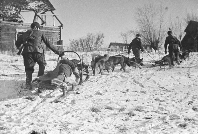 Великая Отечественная в фотографиях-10