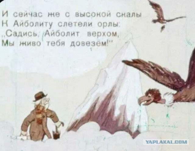 Дожились...
