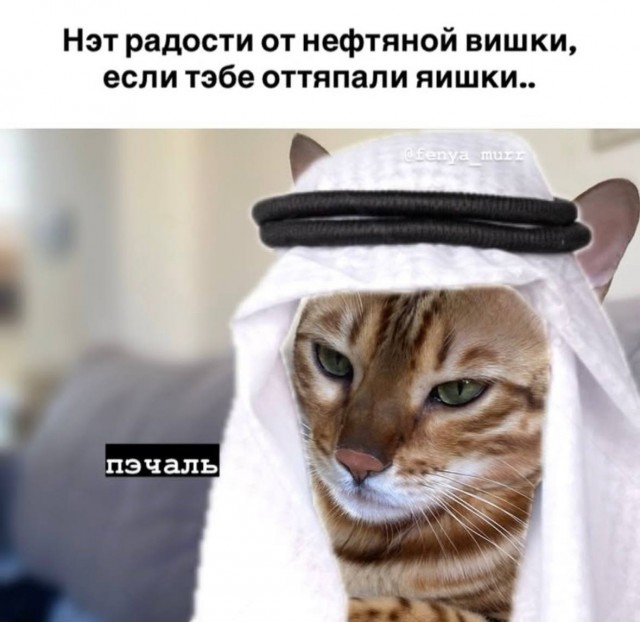 Веселые картинки в понедельник (06.10)