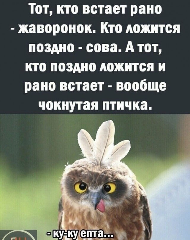 А понедельник то ненастоящий...